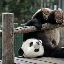 Схема вышивки «№2659627»