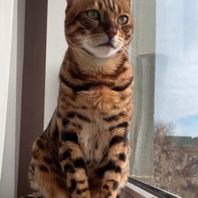 Схема вышивки «№2659632»