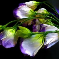 Оригинал схемы вышивки «№2659641»