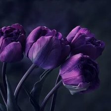 Оригинал схемы вышивки «№2659647»