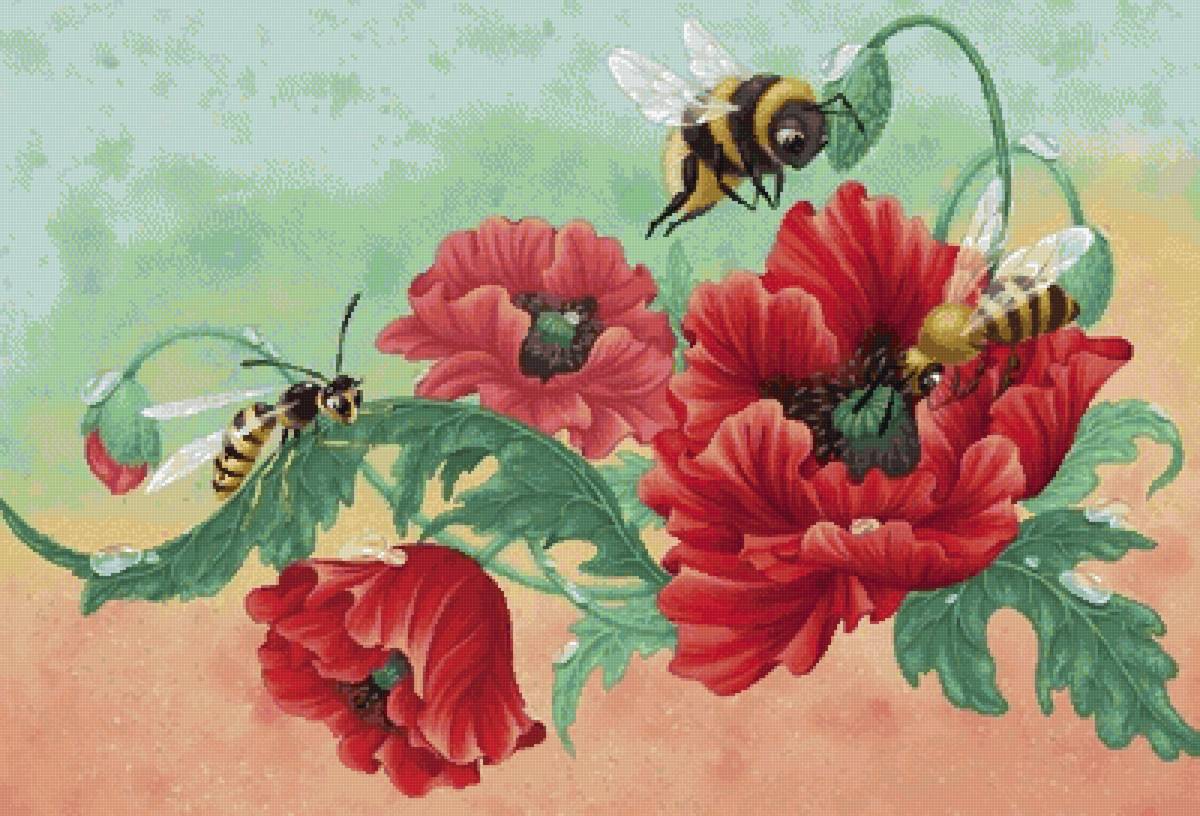 Цветы. - пнк - предпросмотр