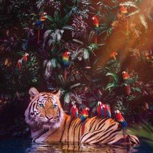 Схема вышивки «№2660076»