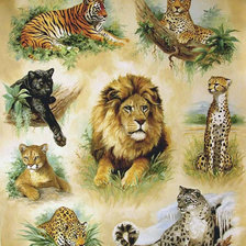 Схема вышивки «большие кошки»