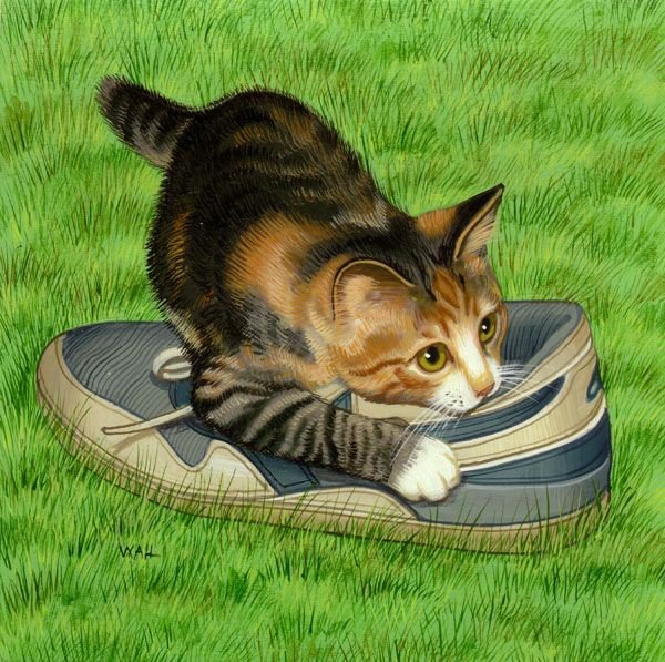 Кот - кот - оригинал