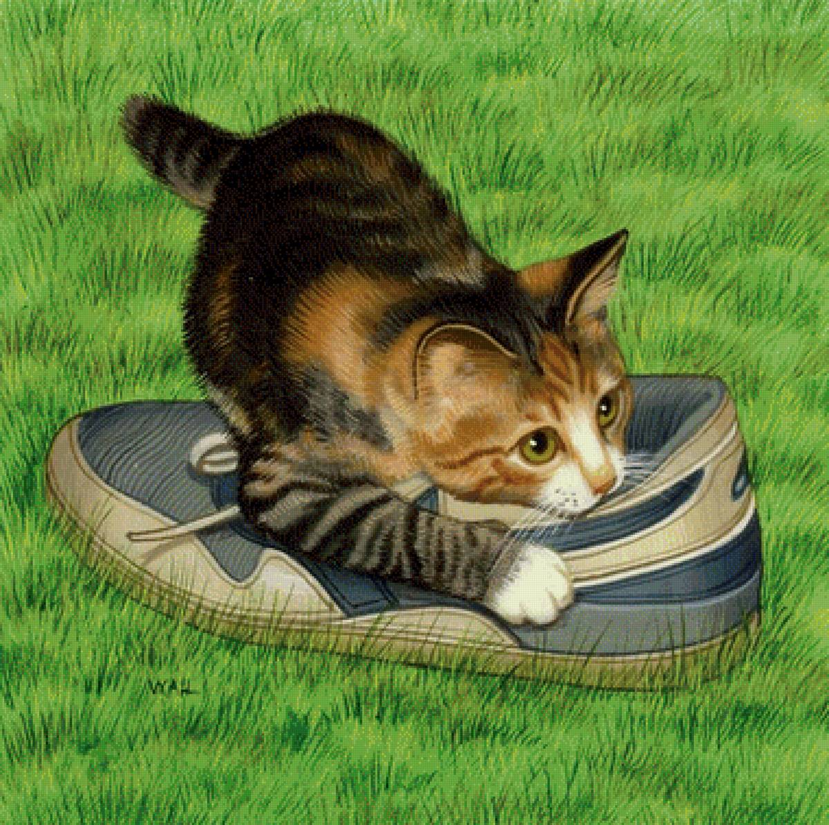 Кот - кот - предпросмотр