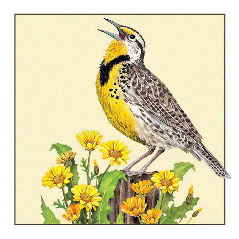 Bird - акварель, птица, рисунок - оригинал