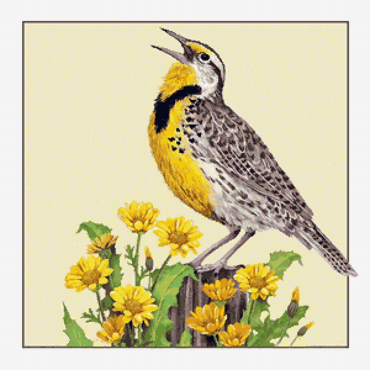 Bird - рисунок, акварель, птица - предпросмотр