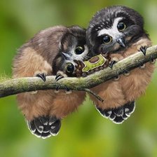 Схема вышивки «№2660944»