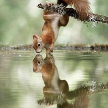 Схема вышивки «№2660947»