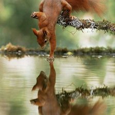 Схема вышивки «№2660948»