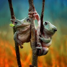 Схема вышивки «№2660949»