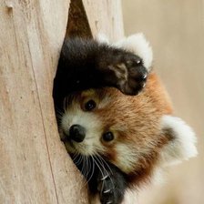 Схема вышивки «№2660950»