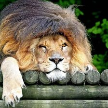 Схема вышивки «№2660966»