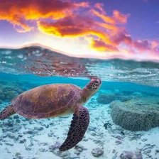 Оригинал схемы вышивки «№2661040»