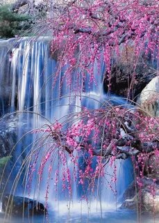 №2661397 - пейзажи - оригинал