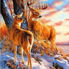 Схема вышивки «№2661452»