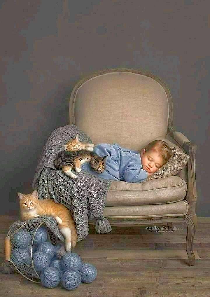 "Noapte linistita dragilor" - doamne - оригинал