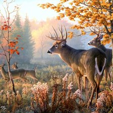 Оригинал схемы вышивки «№2661488»