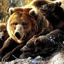 Оригинал схемы вышивки «№2661489»