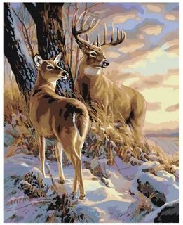 №2661520 - животные - оригинал