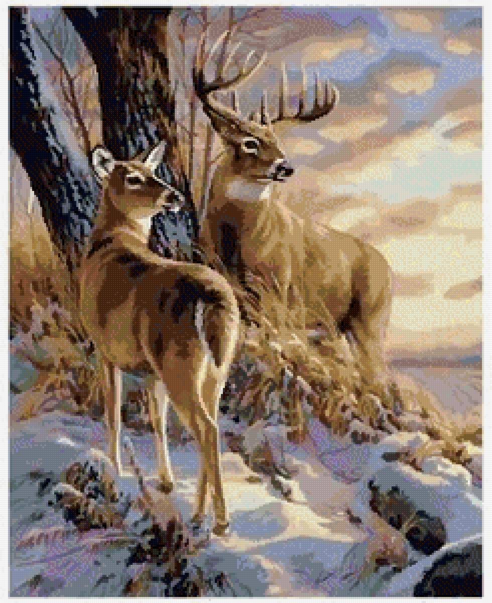 №2661520 - животные - предпросмотр