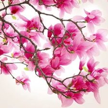 Оригинал схемы вышивки «№2661778»