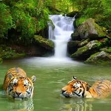 Схема вышивки «№2661782»