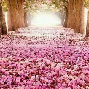 №2661788 - пейзажи - оригинал