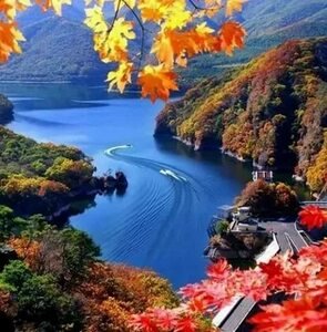 №2661805 - пейзажи - оригинал