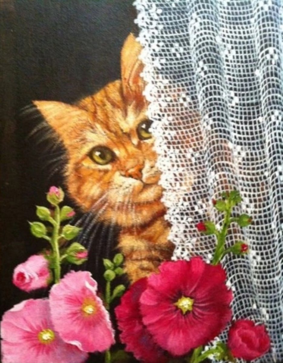 Кот в окошке - животные, кошачий портрет, кошки - оригинал