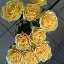 Схема вышивки «Жёлтые розы»