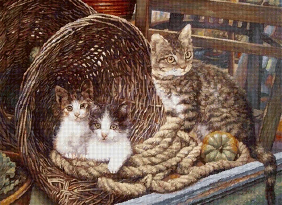 Деревенские котики - коты, италия - предпросмотр