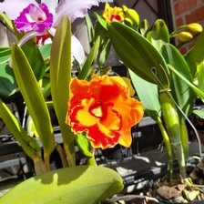 Схема вышивки «№2662595»