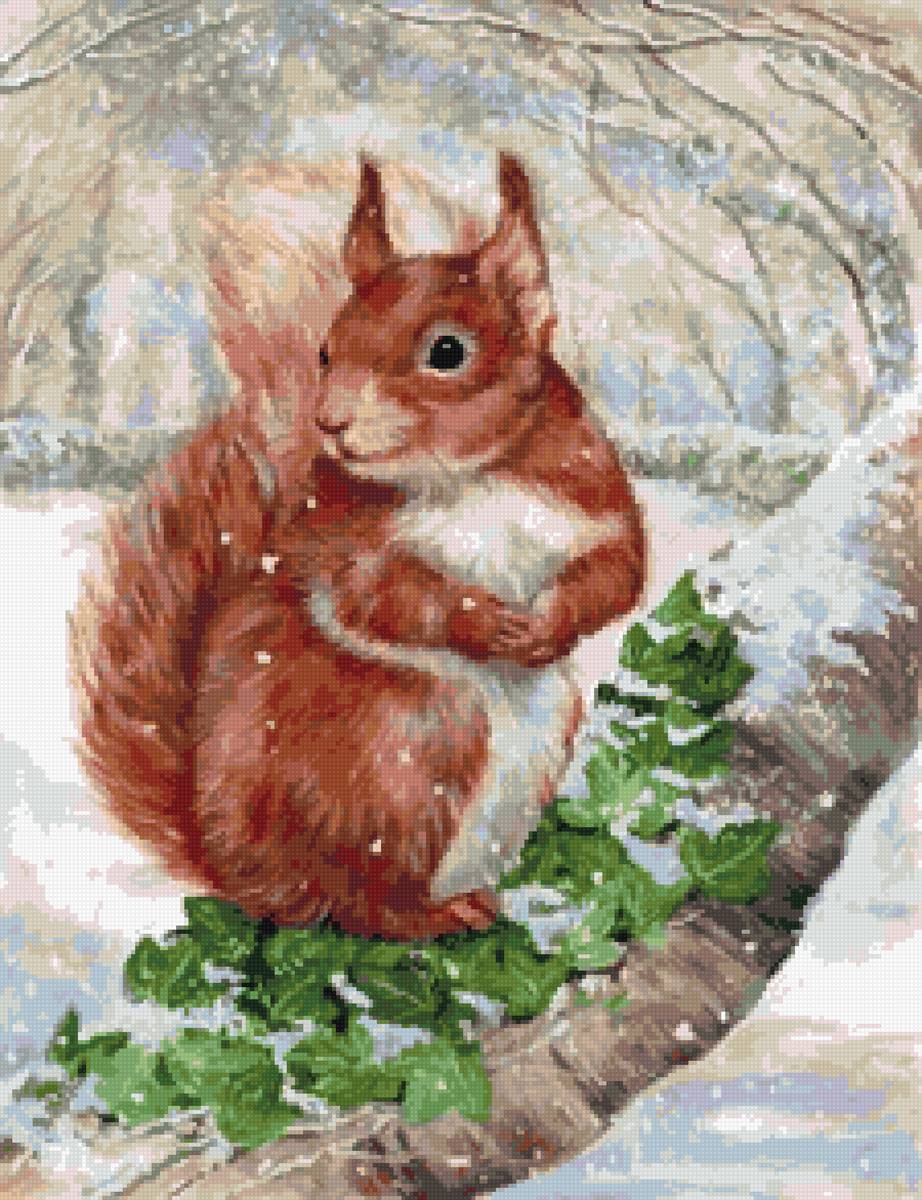 белка - предпросмотр