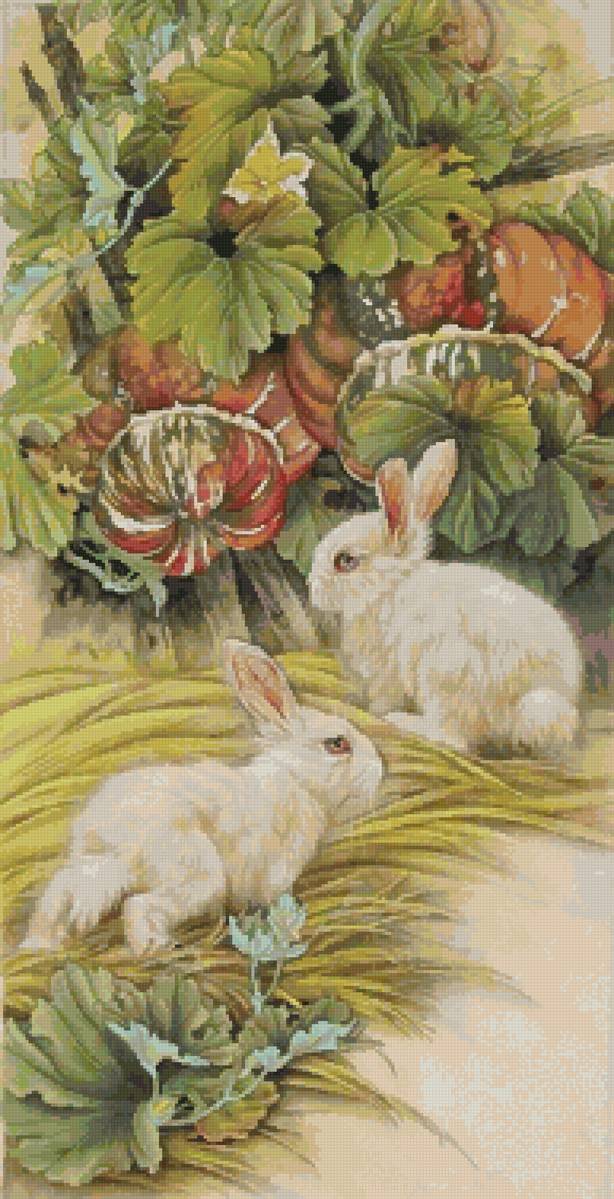 зайки и тыквы - предпросмотр