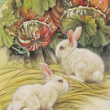 зайки и тыквы