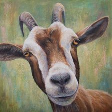 Схема вышивки «коза»