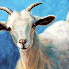 Схема вышивки «коза»