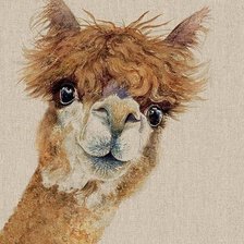 Схема вышивки «альпака»