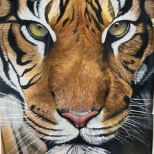 Схема вышивки «вставка в подушку тигр»