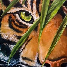 Схема вышивки «взгляд тигра»