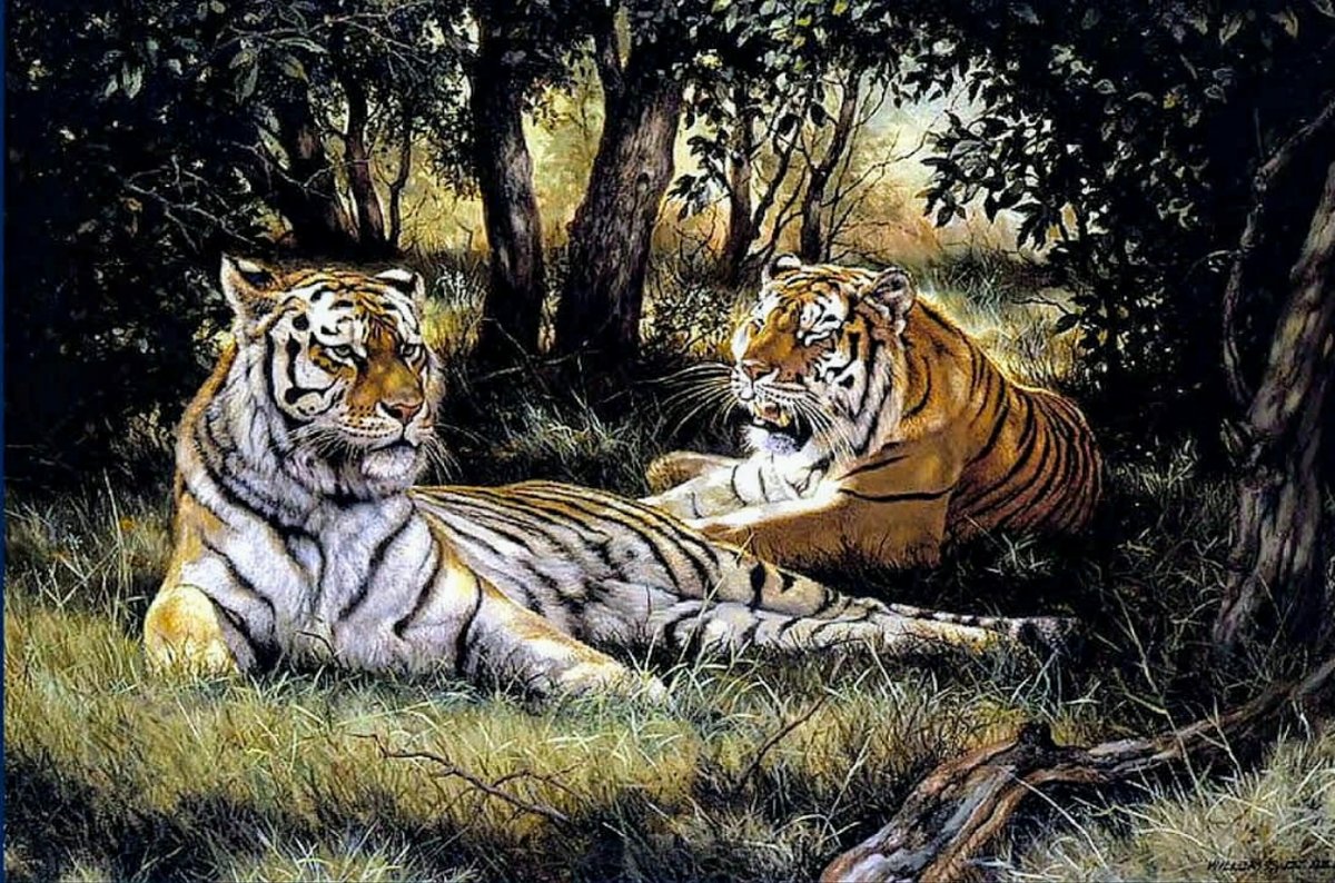 Что означает картина. Пейзаж с тигром. Тигр картины художников. Картины с тиграми на природе. Тигры в природе и живописи.