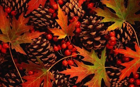 №2663971 - осень - оригинал