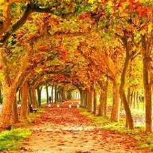 Схема вышивки «№2663972»