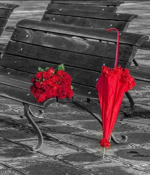 Романтика - зонт, розы, букет, красный, скамейка - оригинал