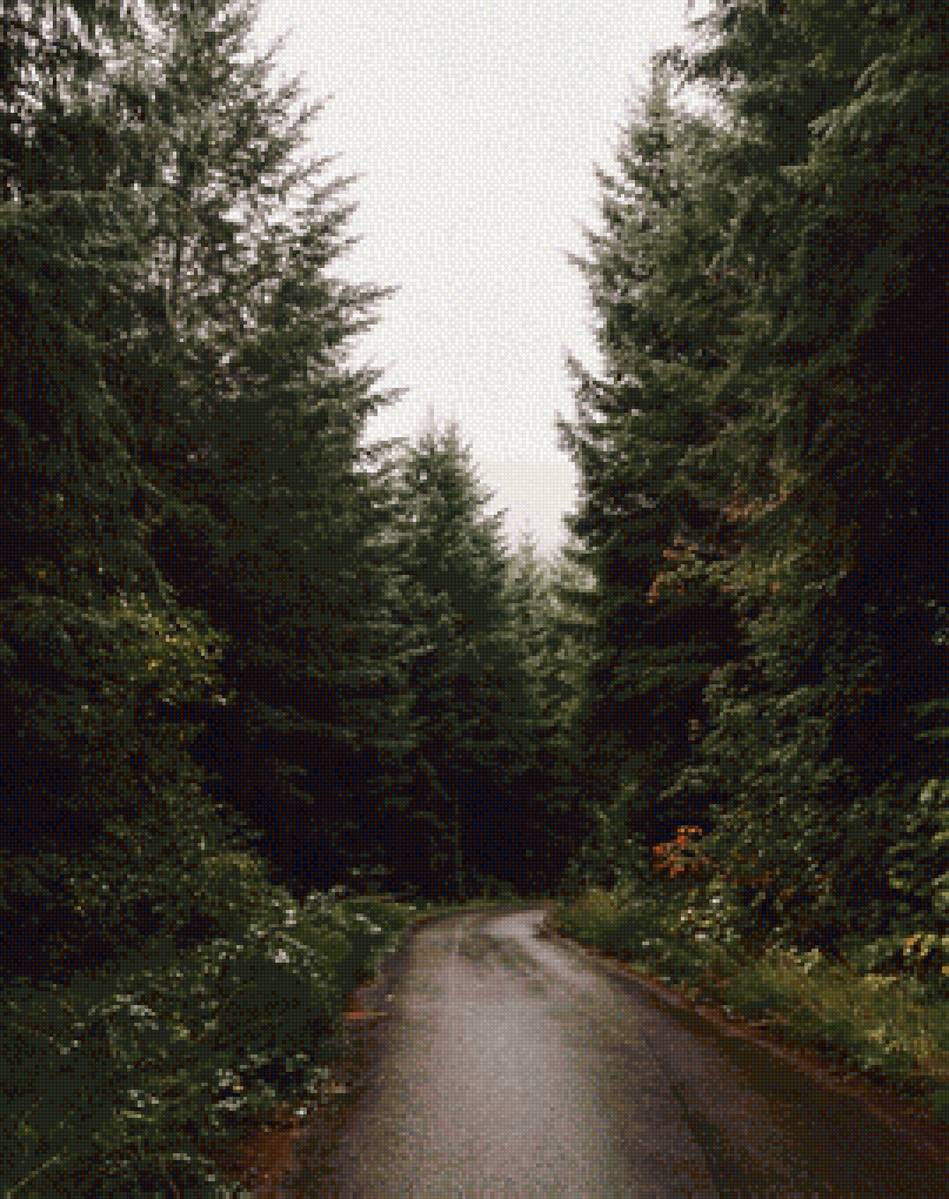 Осенний лес - лес, осень - предпросмотр