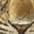 Предпросмотр схемы вышивки «№2664477»