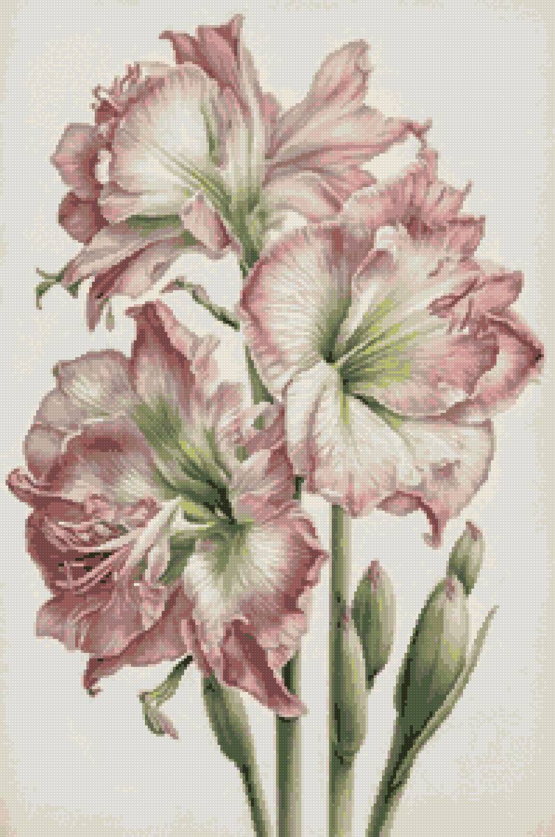 №2664714 - предпросмотр