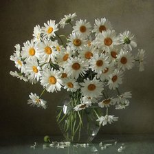 Схема вышивки «№2665024»