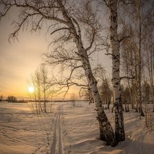 Схема вышивки «№2665025»